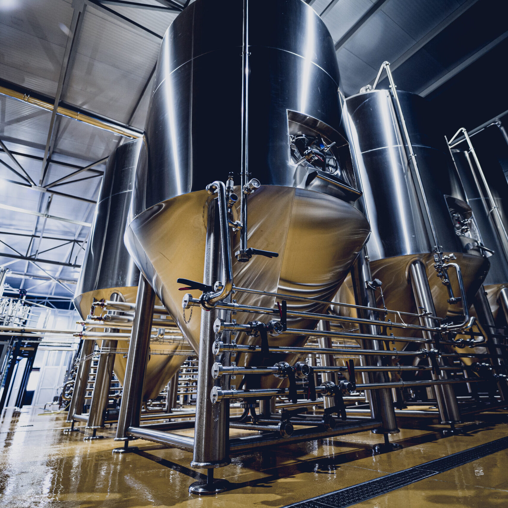 Rows of steel tanks for beer fermentation and maturation in a craft brewery.